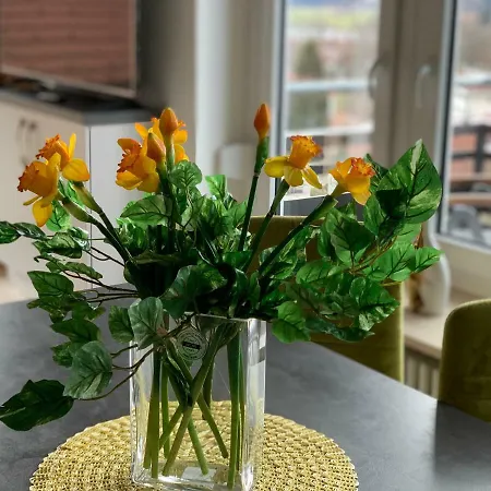 Sanosueno * 손토펜