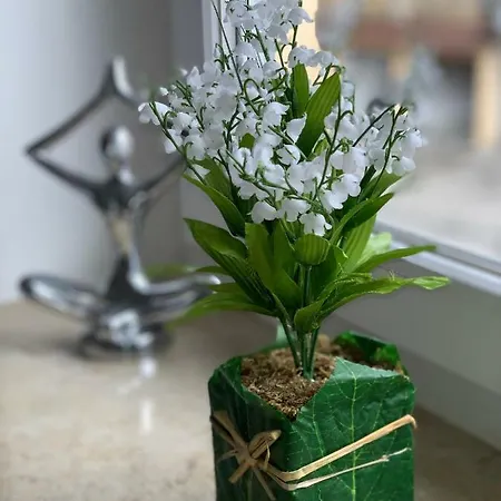 아파트 Sanosueno 손토펜