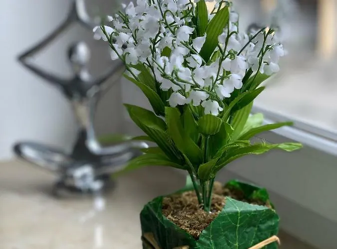 アパート Sanosueno ゾントホーフェン